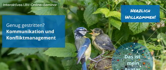Ein Blaumeisen-Jungvogel sperrt gerade seinen Schnabel auf und wird gerade von einem Elternteil gefüttert. Daneben steht eine blaue Box mit weißer Schrift: "Genug gestritten? Kommunikation und Konfliktmanagement".