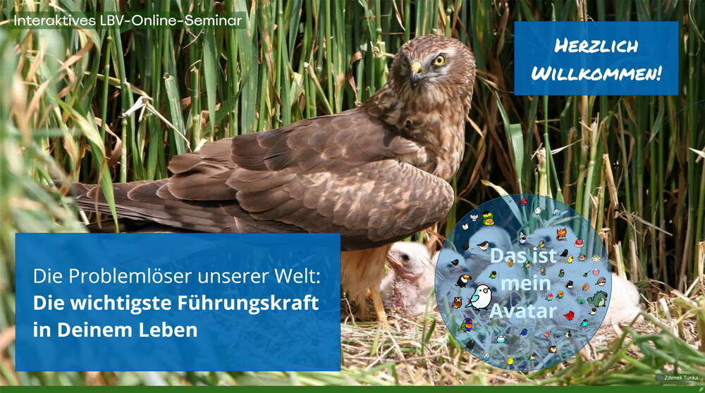 Ein Foto eines Steinadlers mit Jungtieren. Davor steht eine blaue Box mit weißem Text: "Die Problemlöser unserer Welt: Die wichtigste Führungskraft in Deinem Leben".